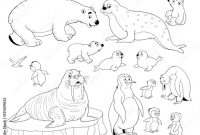 Coloring pages for preschool artic animals