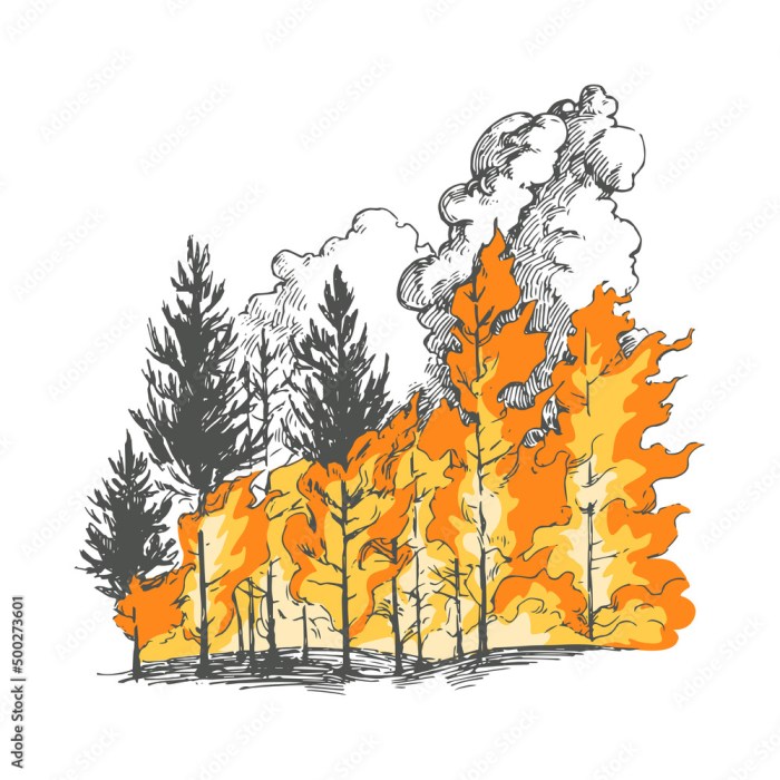 Forest fire drawing easy with colour