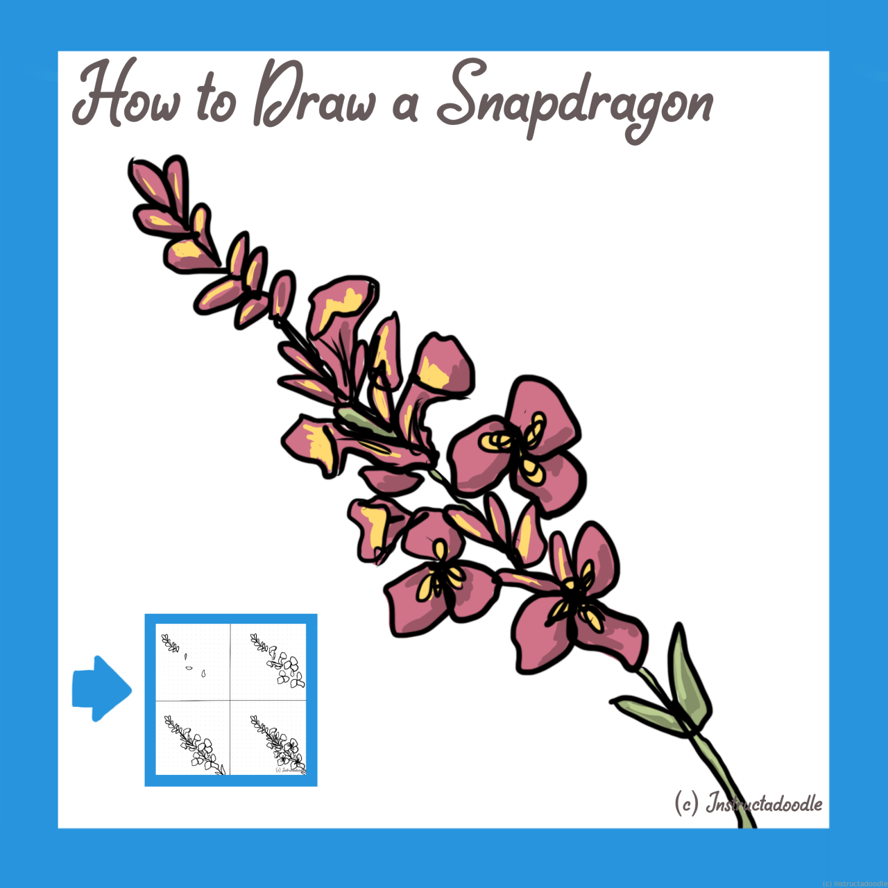 Easy blue snapdragons drawing