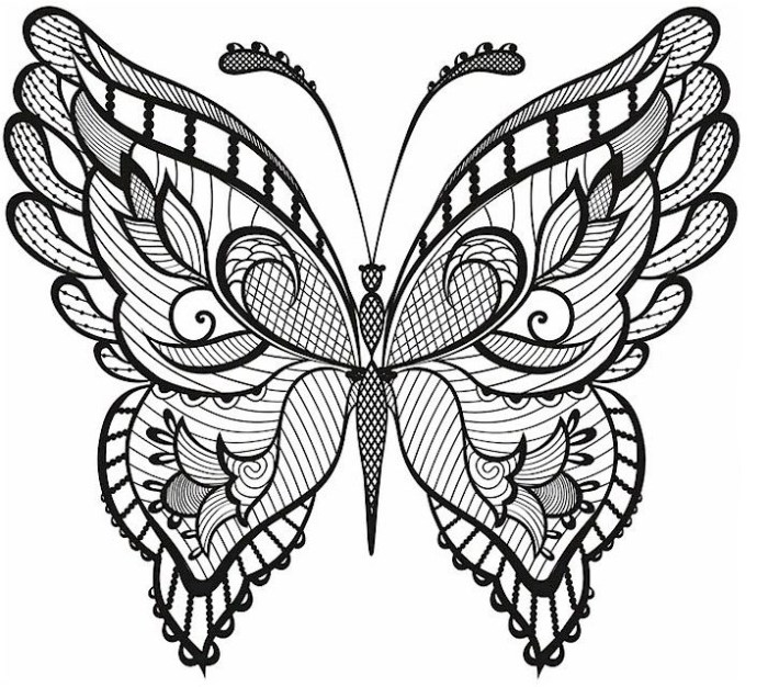 Butterflyadult coloring pages animals