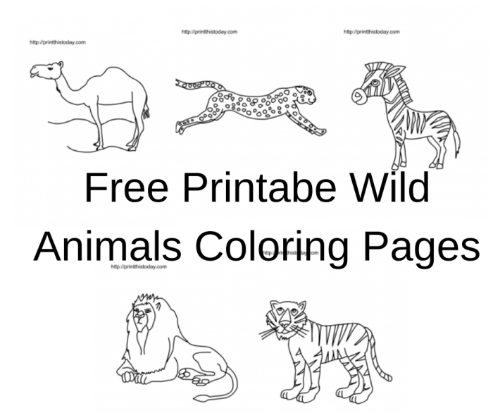 Free coloring pictures of wild animals