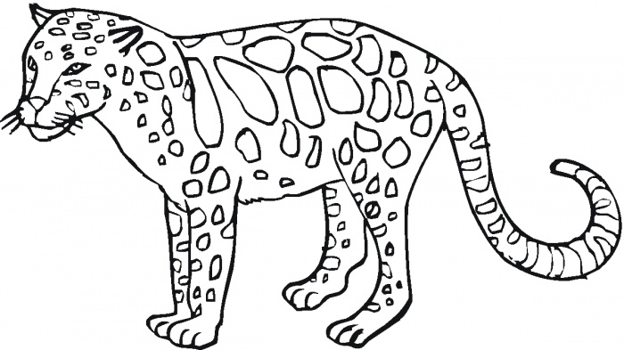 Coloring pages wild animals free