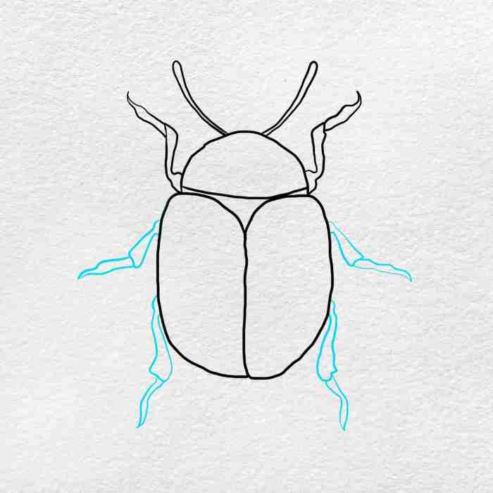 Goliath bettle easy drawing