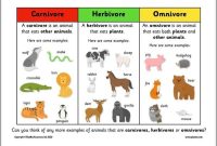 Herbivore animal easy step by step drawing