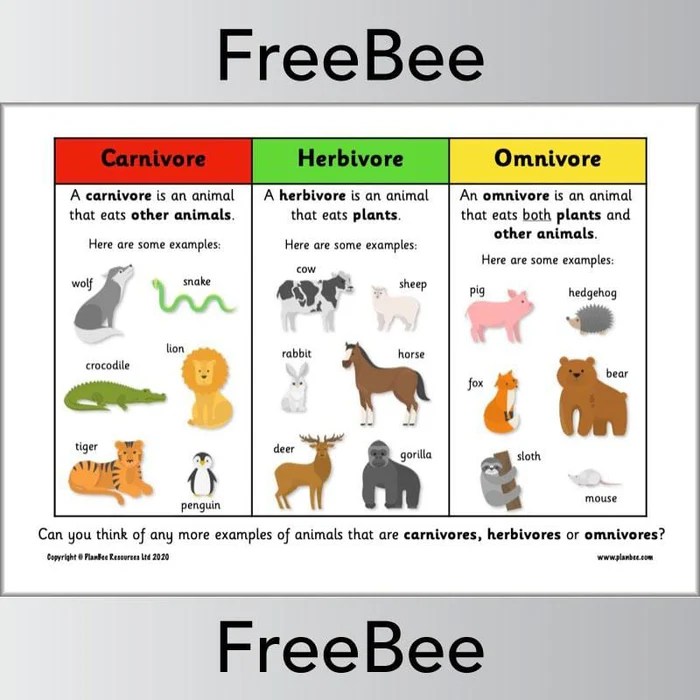 Herbivore animal easy step by step drawing