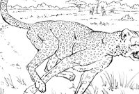 Free coloring pictures of wild animals