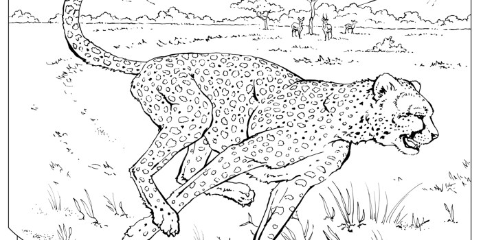 Free coloring pictures of wild animals