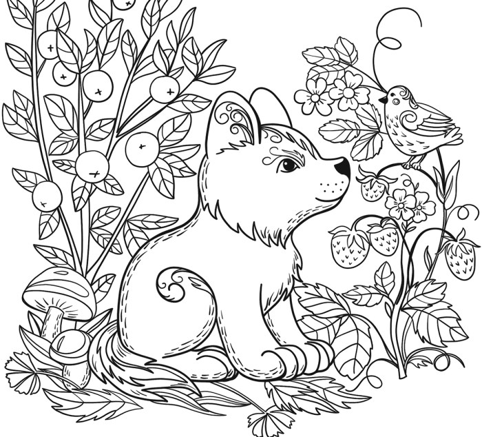 Coloring pages wild animals free