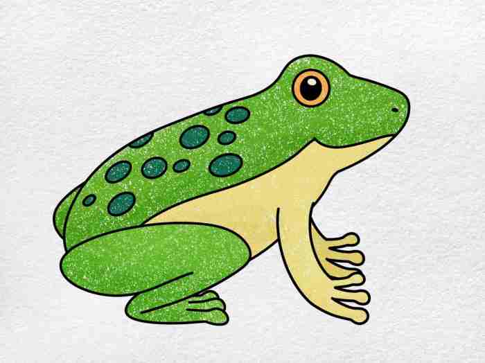 Easy drawing of a frog