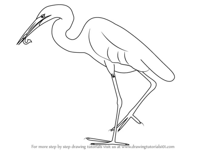 Black and white egret drawing easy