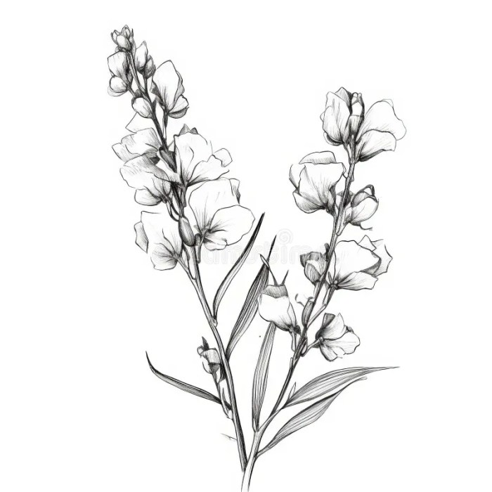 Easy blue snapdragons drawing