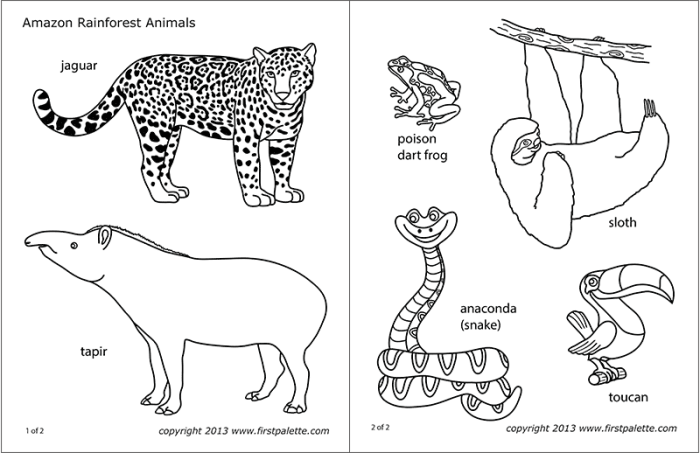 Jungle animals for coloring