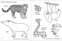 Rainforest animals coloring pages