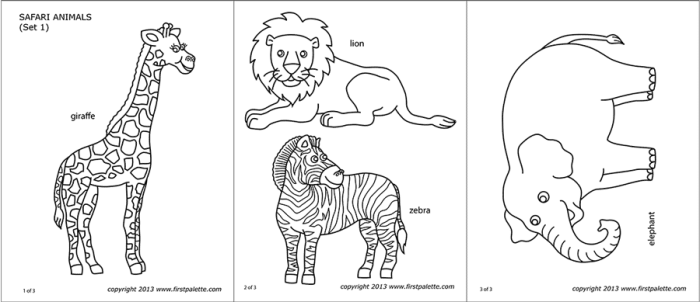 Jungle animals for coloring