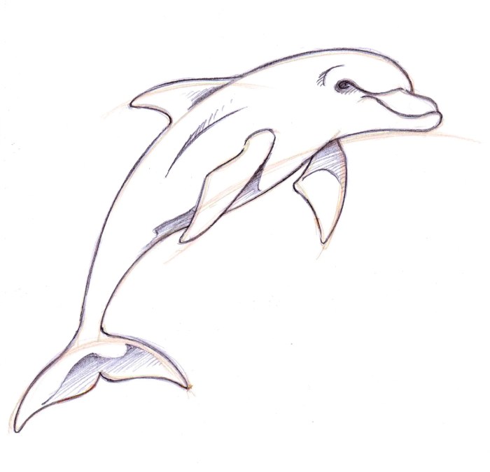 Dolphin fin drawing easy