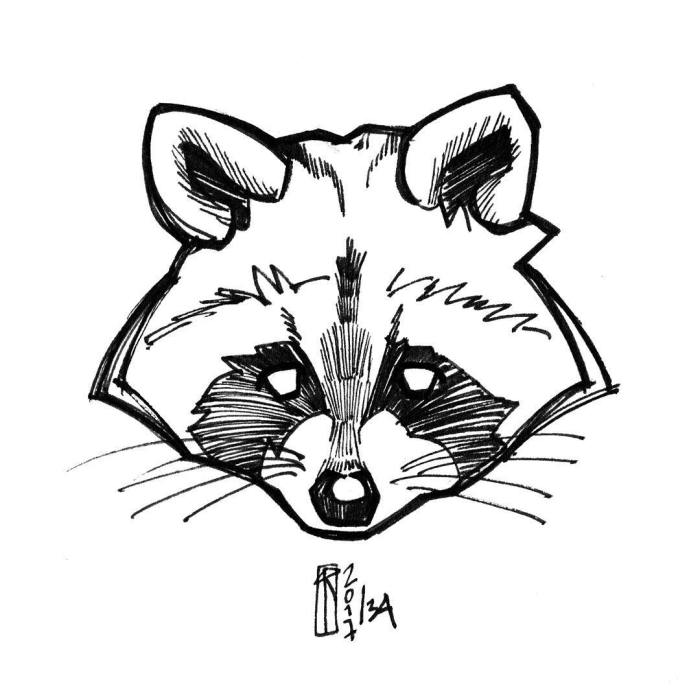 Simple racoon easy drawing