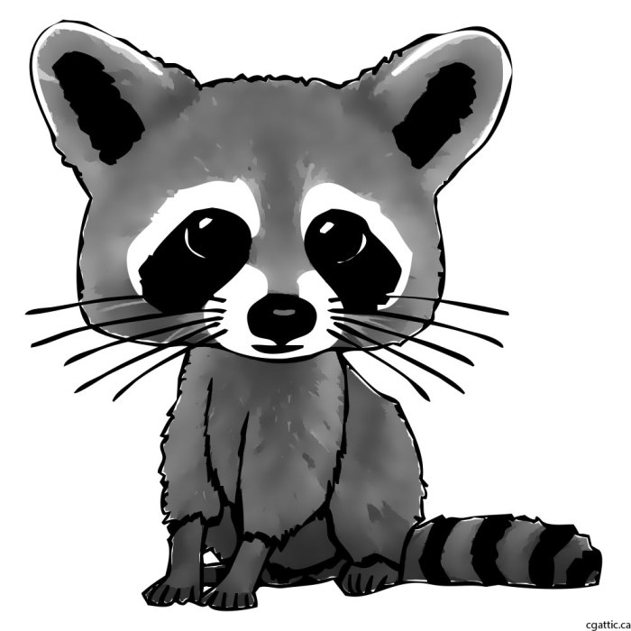 Simple racoon easy drawing